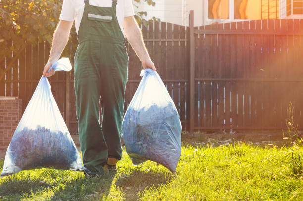 Best Basement Cleanout  in Greenhills, OH